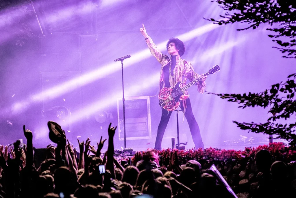 Prince Music Artist